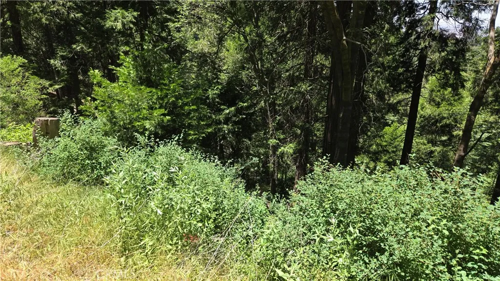 0 Cedar Pines, Cedarpines Park, CA 92322
