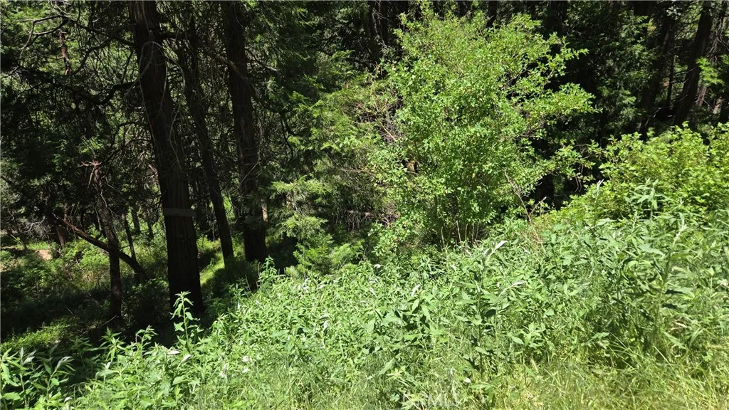 0 Cedar Pines, Cedarpines Park, CA 92322 - Photo 5 of 9, Cedarpines Park, CA