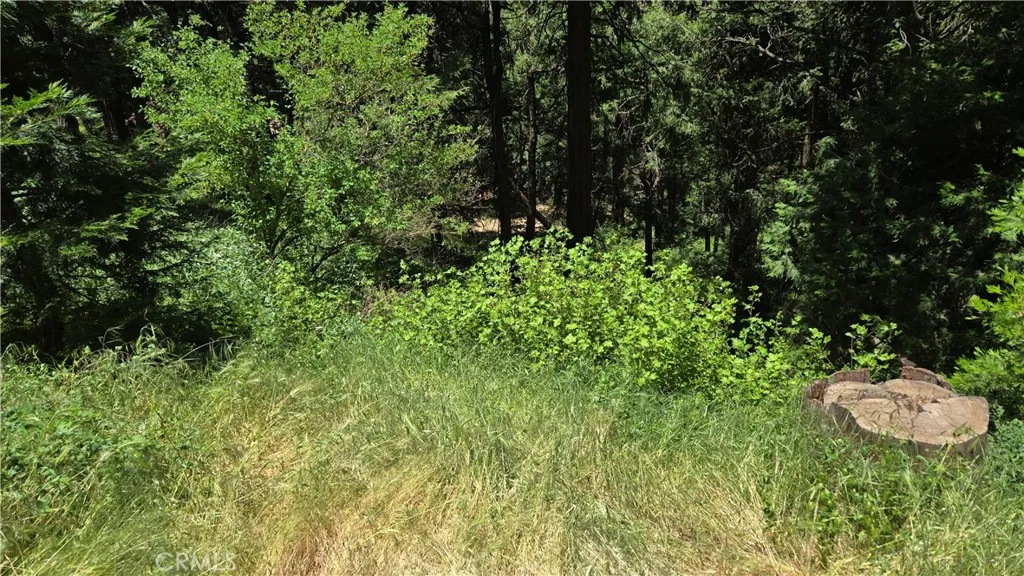0 Cedar Pines, Cedarpines Park, CA 92322 - Photo 3 of 9, Cedarpines Park, CA