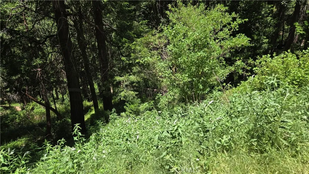 0 Cedar Pines, Cedarpines Park, CA 92322 - Photo 4 of 9, Cedarpines Park, CA
