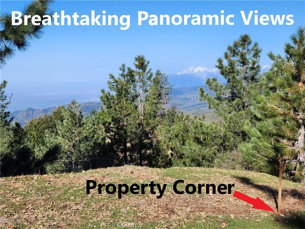 30110 Skyline, Running Springs, CA 92382 - Photo 5 of 17, Running Springs, CA