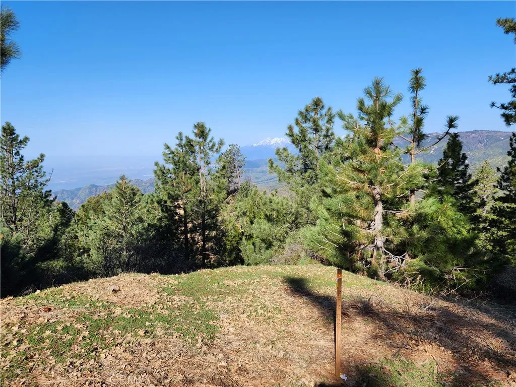 30110 Skyline, Running Springs, CA 92382 - Photo 4 of 17, Running Springs, CA