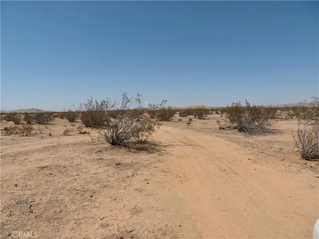 California City, CA 93505