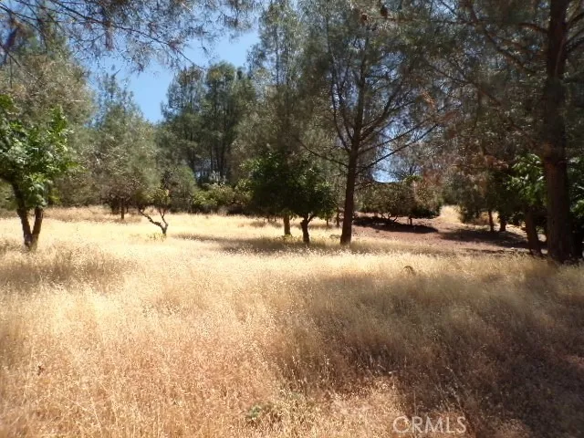 10318 Hok Has Ha, Kelseyville, CA 95453 - Photo 2 of 2, Kelseyville, CA