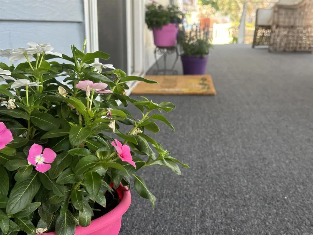 https://cdn.realtyfeed.com/cdn/127/306490822/d17282885e0ae389999758fb268e7963.webp