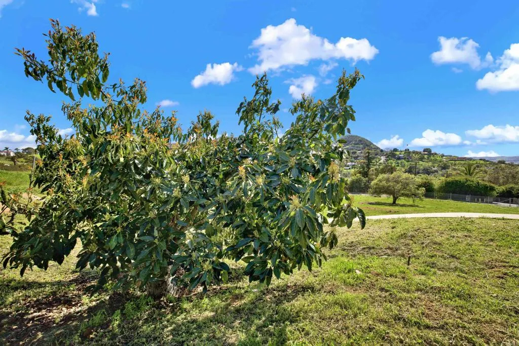 https://cdn.realtyfeed.com/cdn/127/306490826/66d629eb66ac2d7bbe8f7c528f65327a.webp