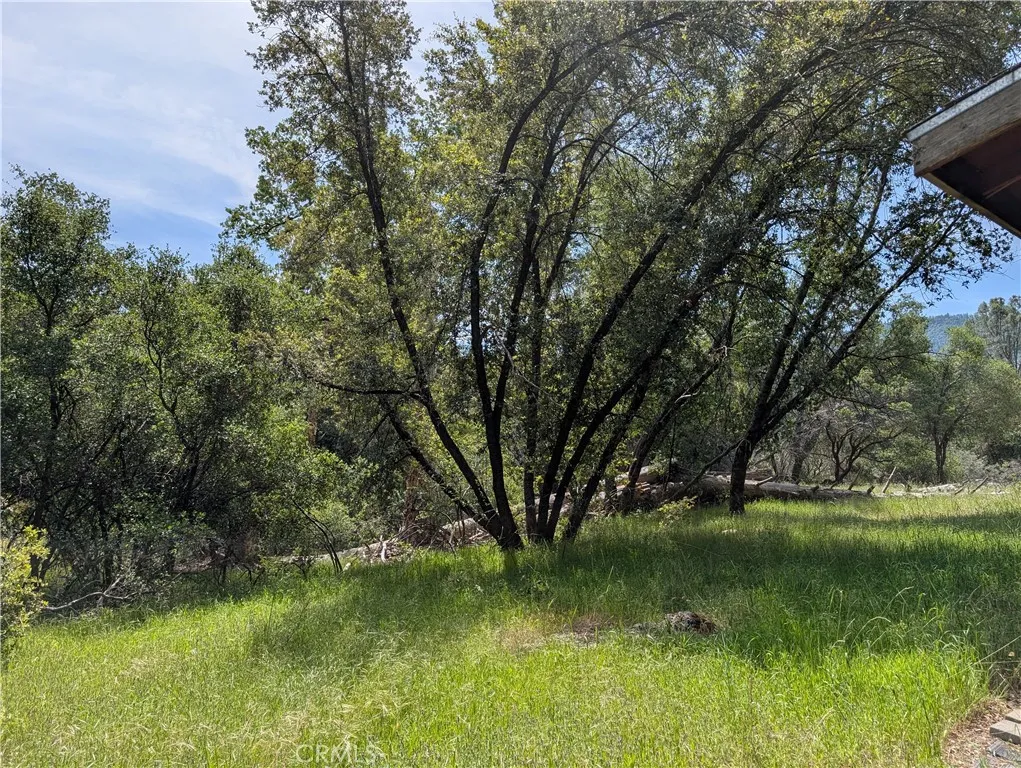 51668 Courtney, Oakhurst, CA 93644 - Photo 3 of 18, Oakhurst, CA