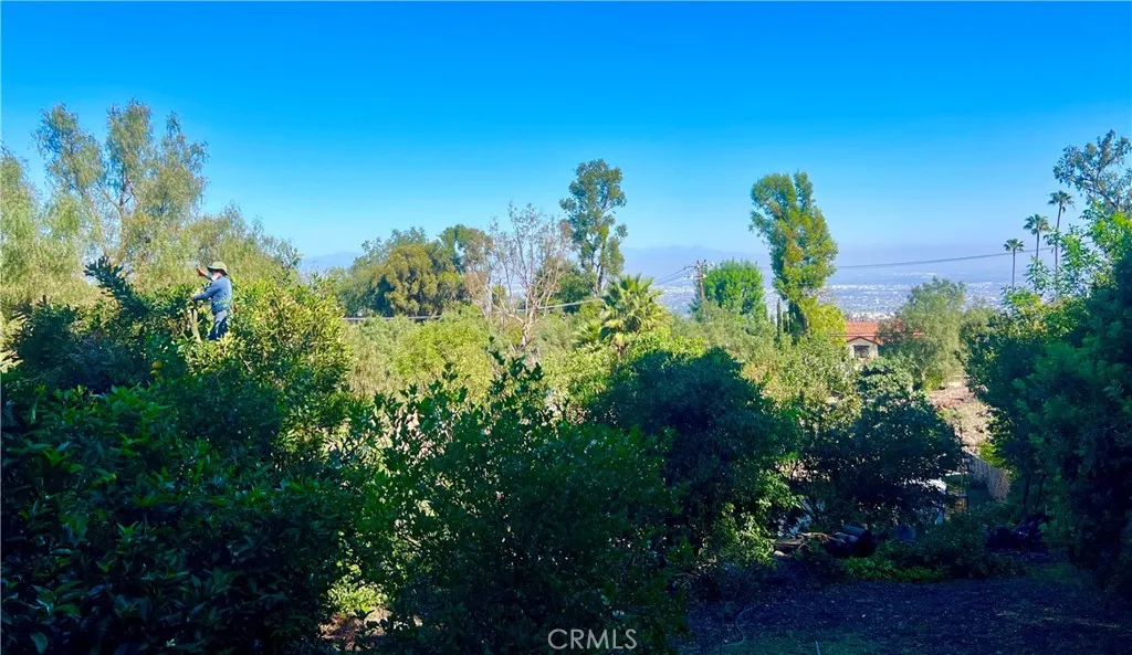 2 Chuckwagon Road, Rolling Hills, CA 90274 - Photo 3 of 74, Rolling Hills, CA