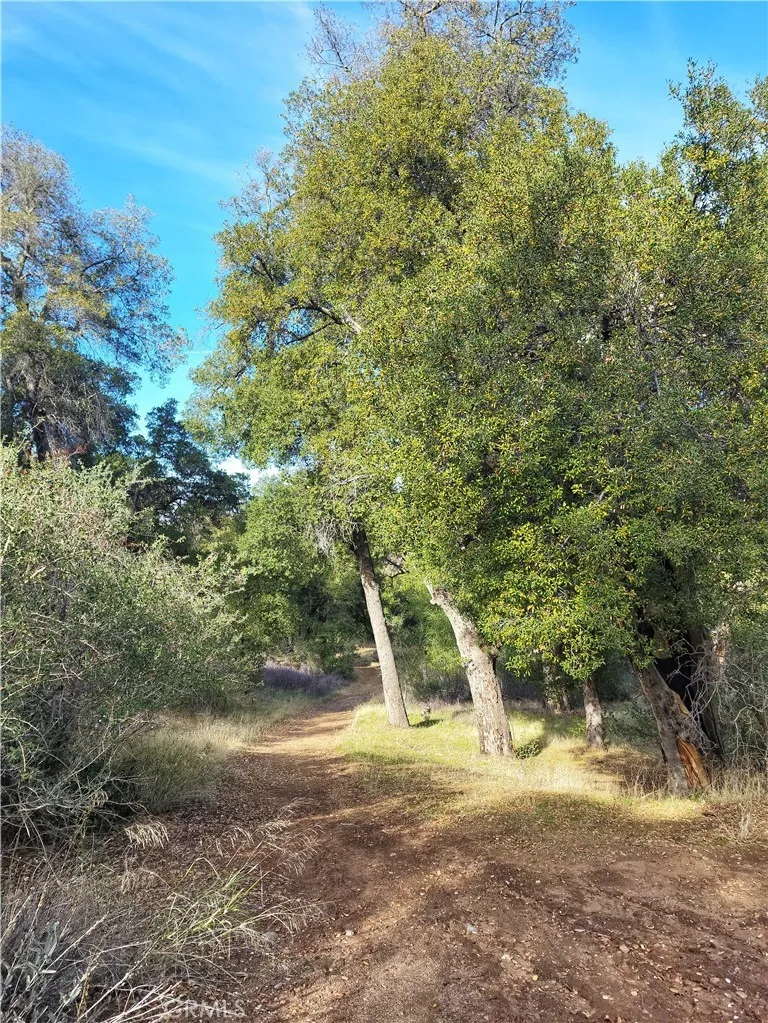 https://cdn.realtyfeed.com/cdn/127/306492684/2ab34d56e30889f3061a889e78805bb9.webp