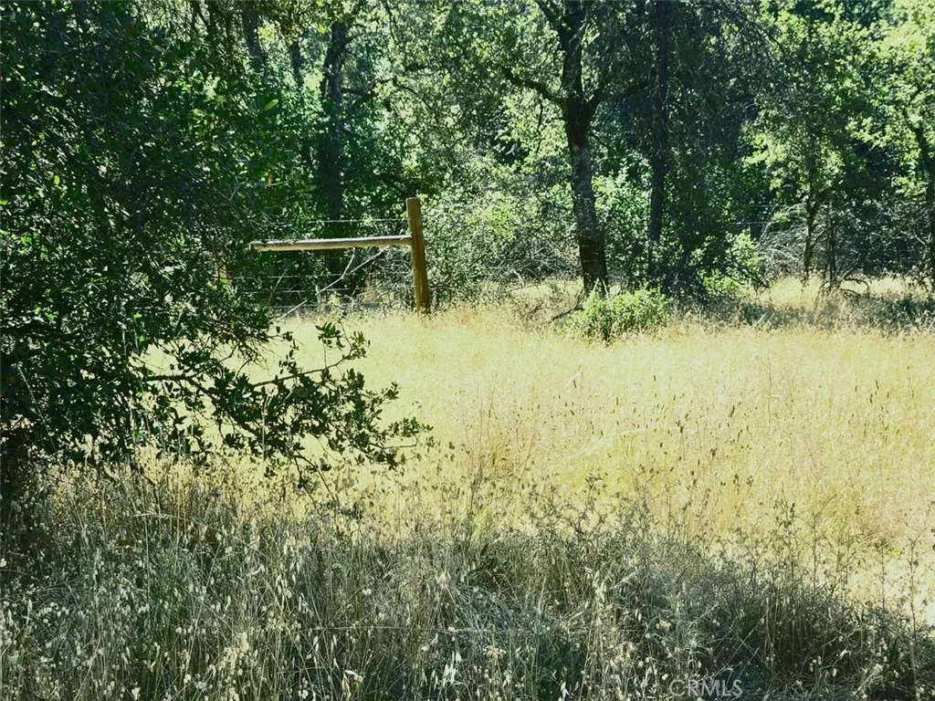 48 Rices Texas Hill