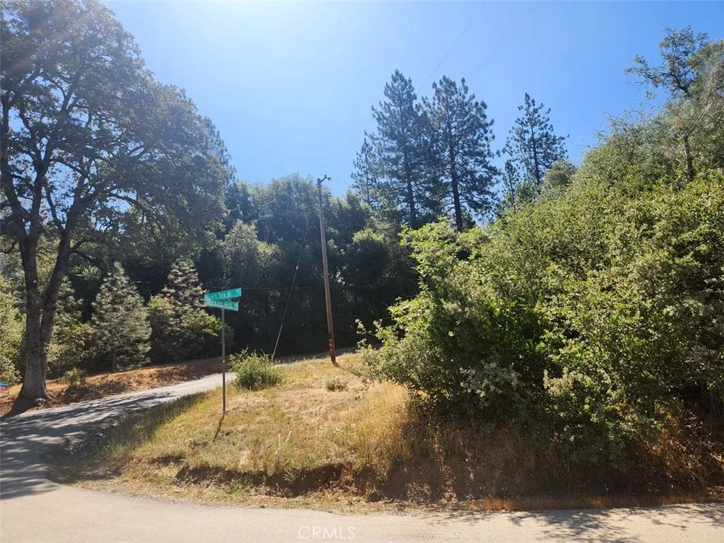 47 Texas Hill
