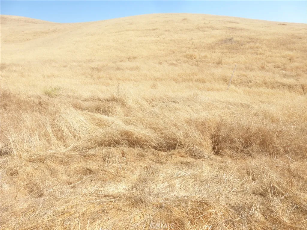 0 Douglas Rd. (lot 40), San Miguel, CA 93451 - Photo 5 of 18, San Miguel, CA