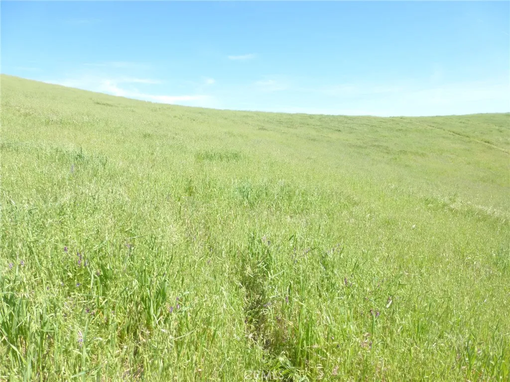 0 Douglas Rd. (lot 41), San Miguel, CA 93451 - Photo 5 of 27, San Miguel, CA