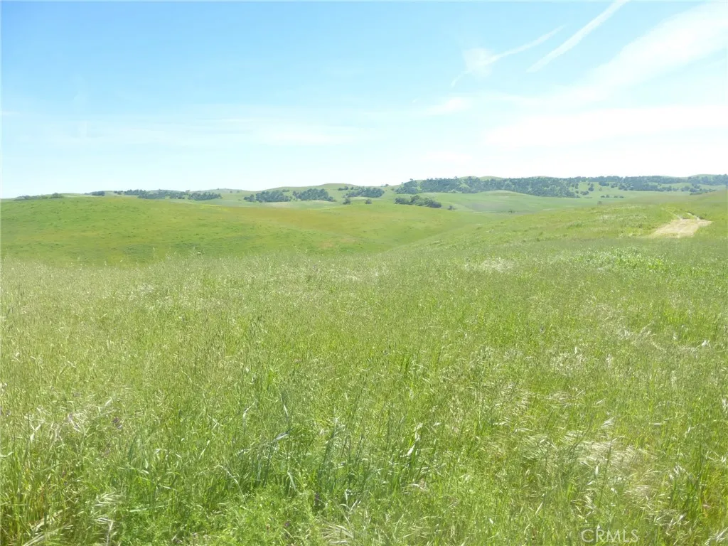 0 Douglas Rd. (lot 42), San Miguel, CA 93451 - Photo 5 of 42, San Miguel, CA