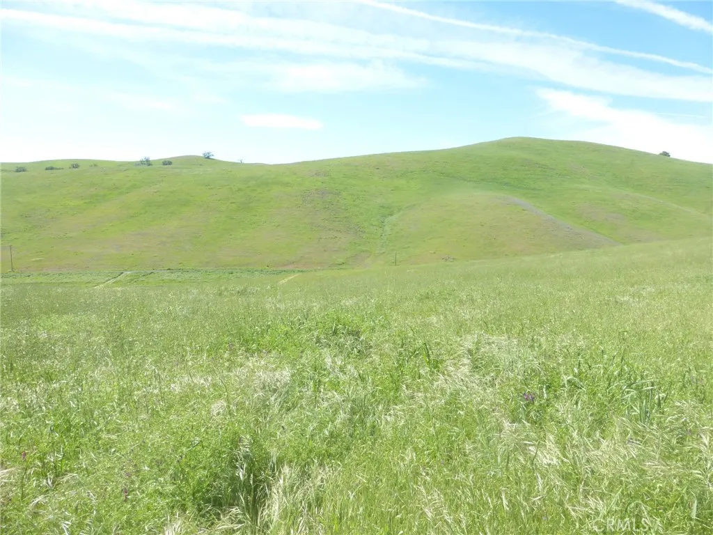 0 Douglas Rd. (lot 42), San Miguel, CA 93451 - Photo 4 of 42, San Miguel, CA