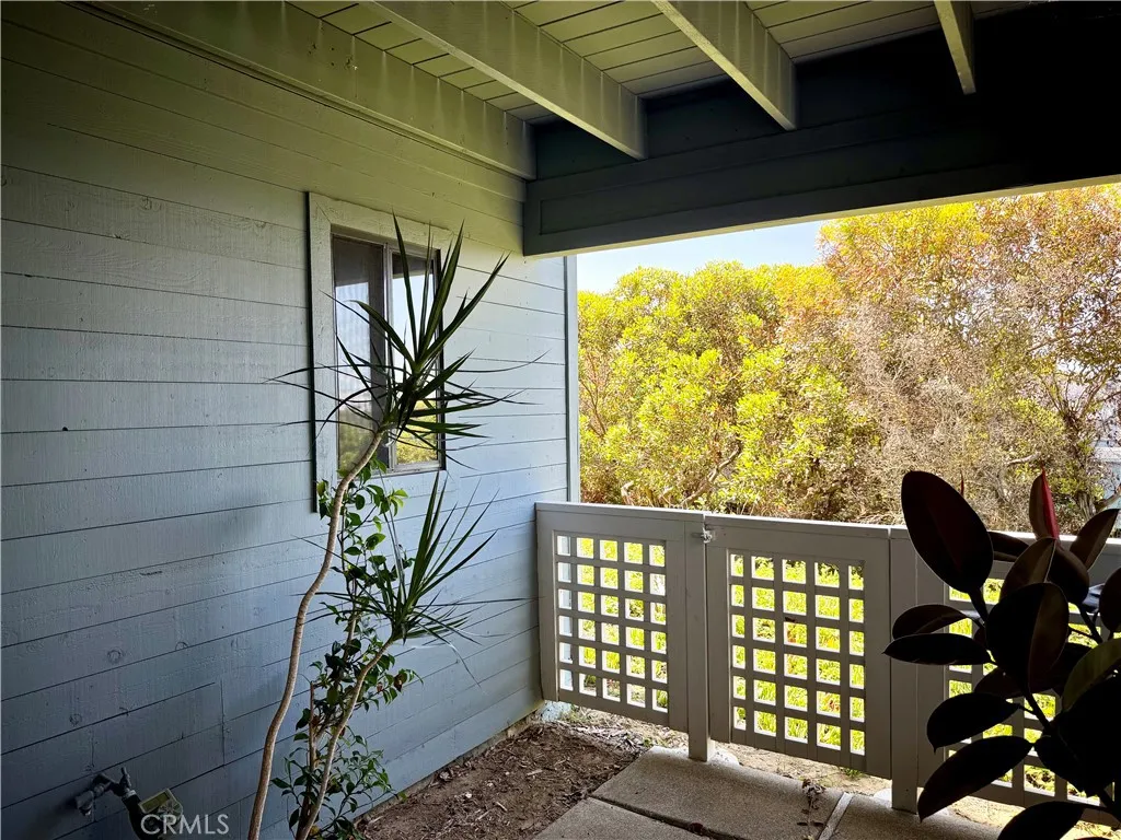 Photo #24: IV25157567 Listing: Photo #24