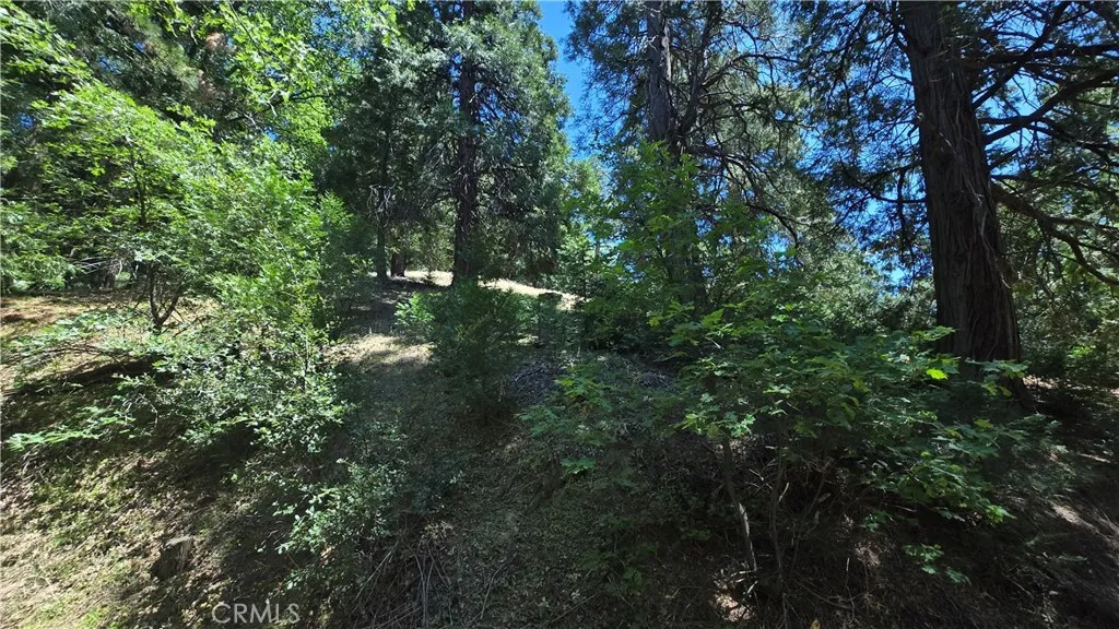 Cedarpines Park, CA 92322