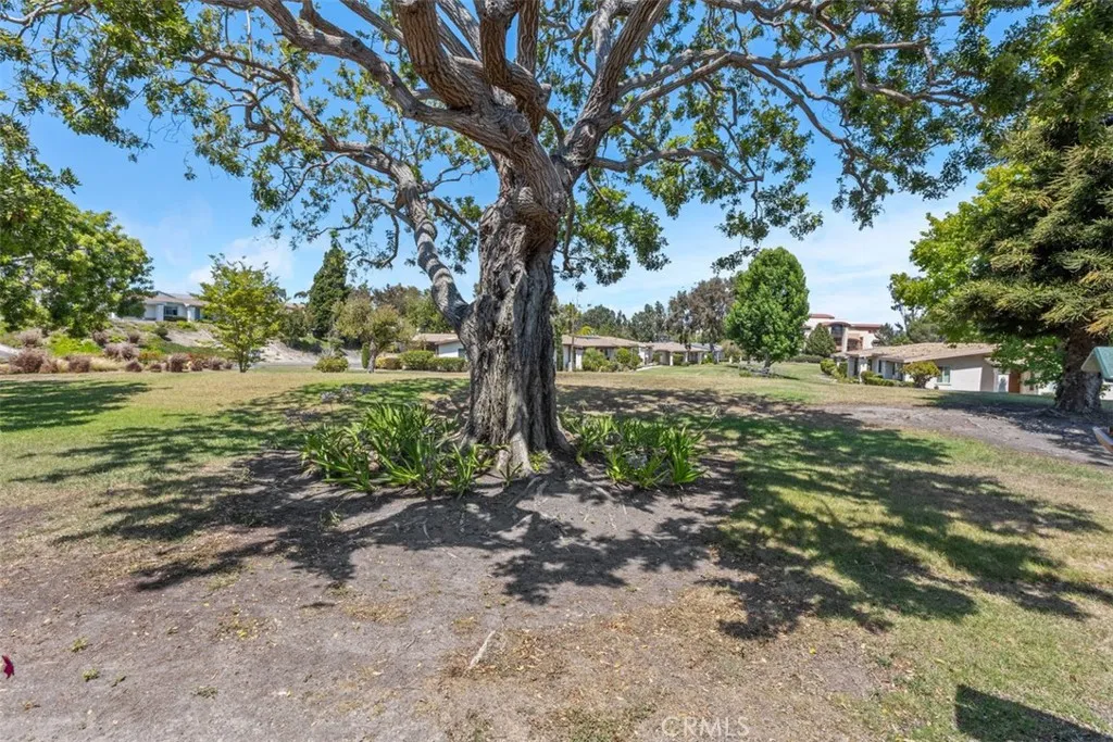 Photo #54: OC25161455 Listing: Photo #54
