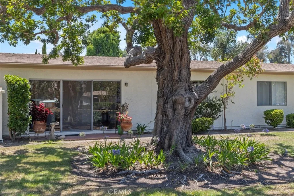 Photo #31: OC25161455 Listing: Photo #31