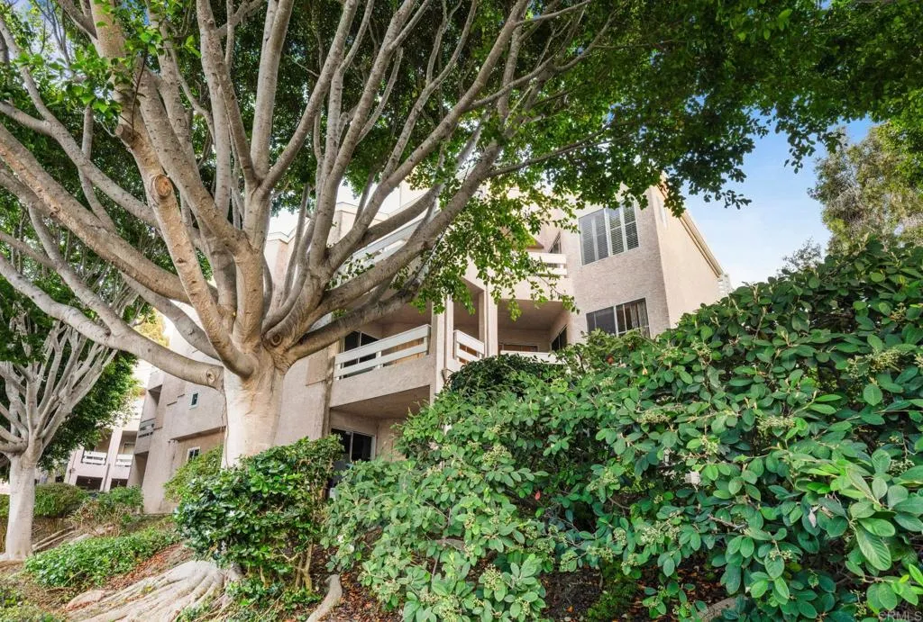 Photo #11: PTP2505479 Listing: Photo #11