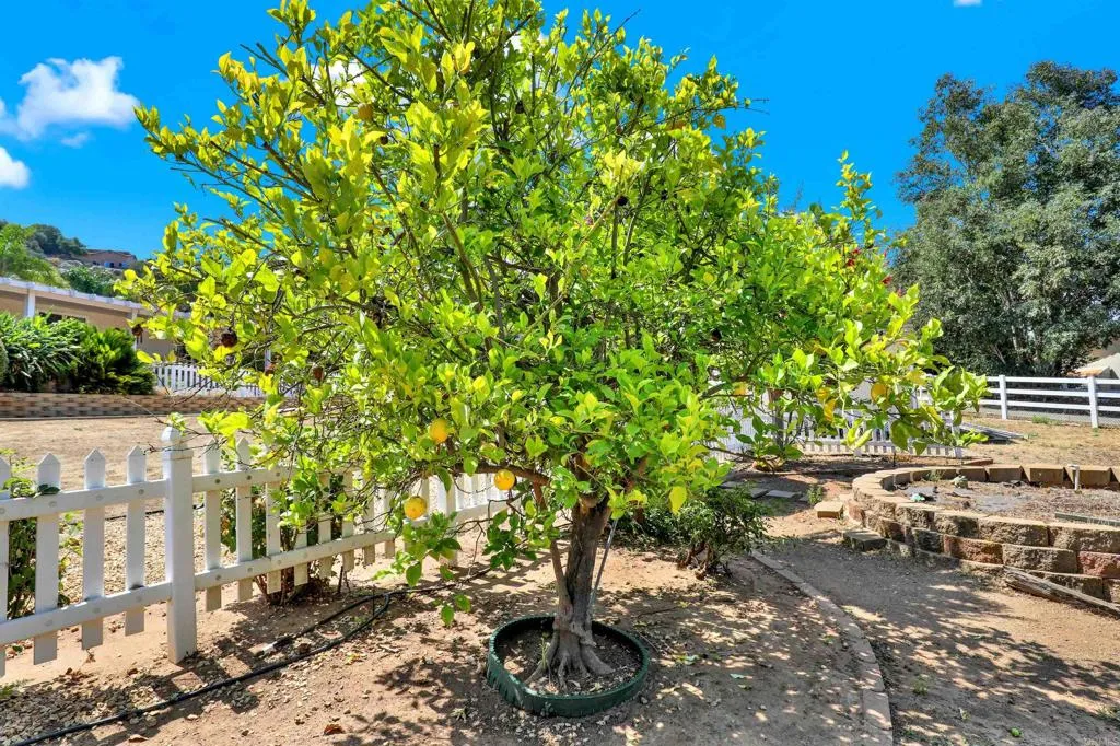 https://cdn.realtyfeed.com/cdn/127/306497649/32d5b1c15ed1c3f4a819585b09920d14.webp