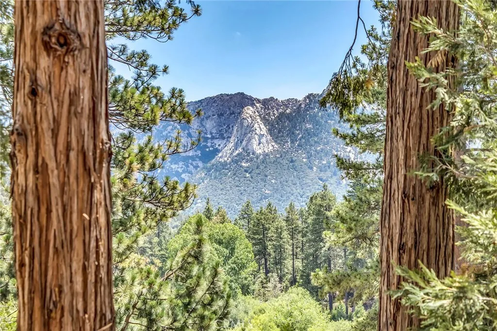53299 Forest Lake Drive, Idyllwild, CA 92549 - Photo 2 of 75, Idyllwild, CA