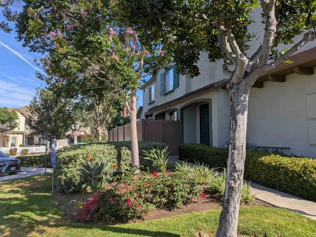 Photo #2: PTP2505603 Listing 