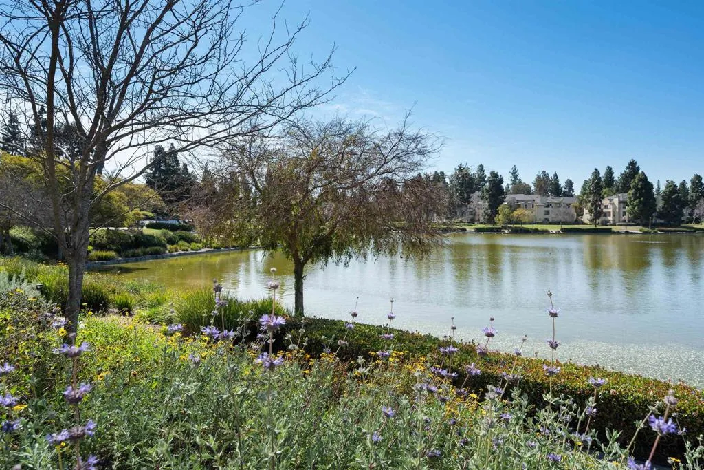 https://cdn.realtyfeed.com/cdn/127/306502684/4d509ae021d6ac6a8a110ba7c7cc6c11.webp