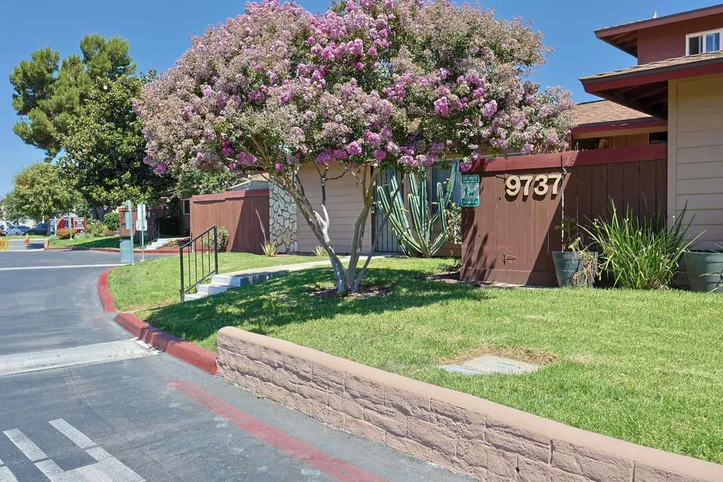 Photo #21: PTP2505695 Listing: Photo #21