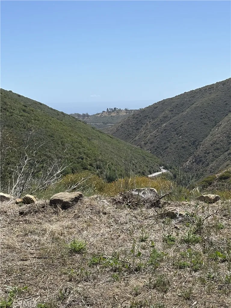 12110 Yellow Hill