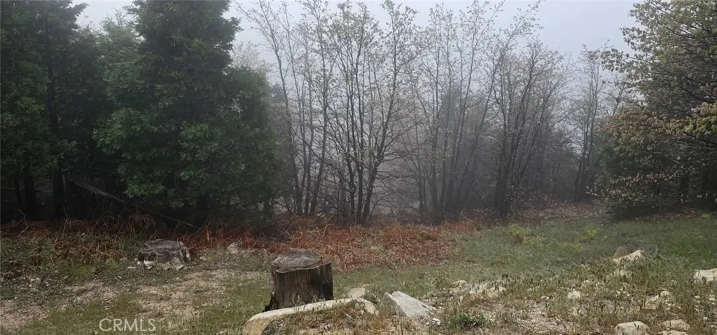 0 Bridal, Rimforest, CA 92378 - Photo 3 of 5, Rimforest, CA