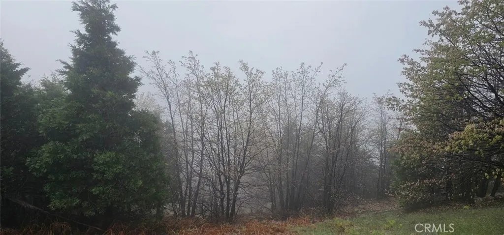 0 Bridal, Rimforest, CA 92378 - Photo 2 of 5, Rimforest, CA