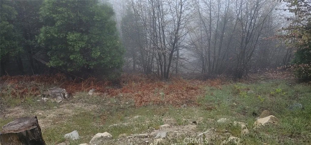 0 Bridal, Rimforest, CA 92378 - Photo 5 of 5, Rimforest, CA