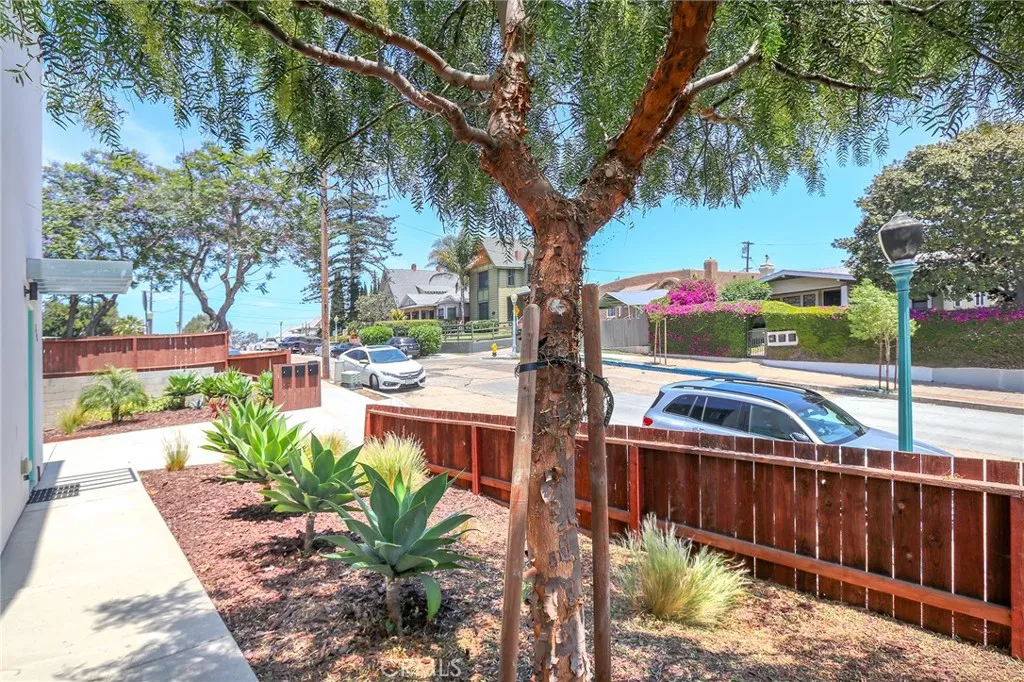 Photo #4: WS25169951 Listing 