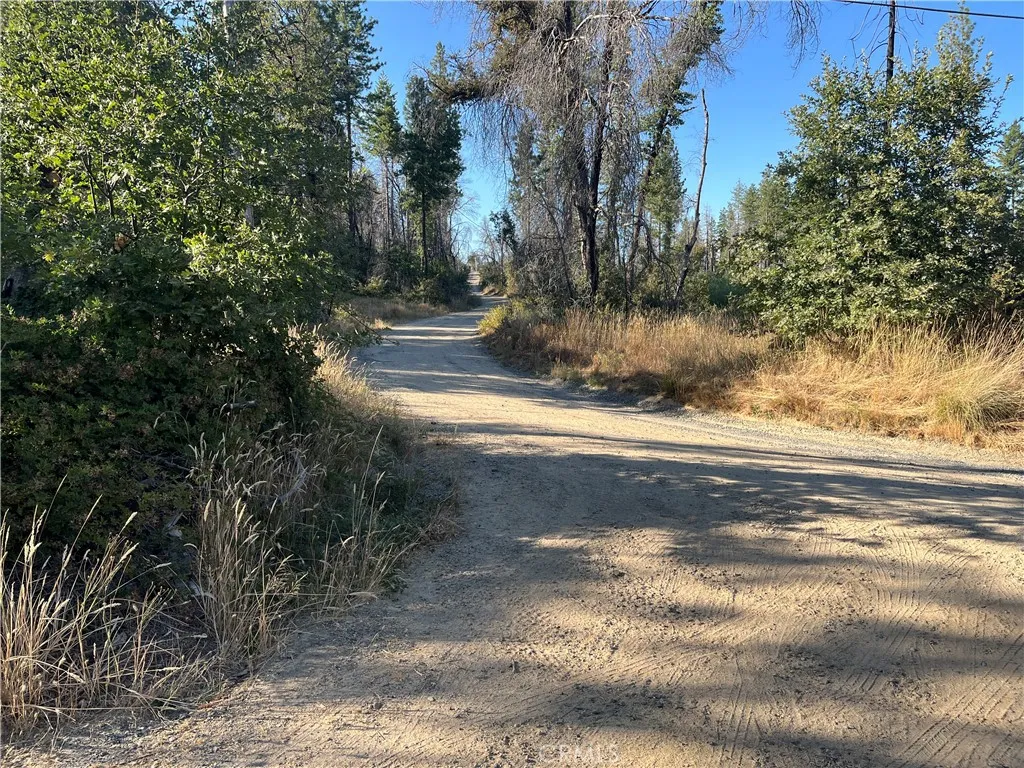0 Bay Ranch, Berry Creek, CA 95916 - Photo 3 of 7, Berry Creek, CA