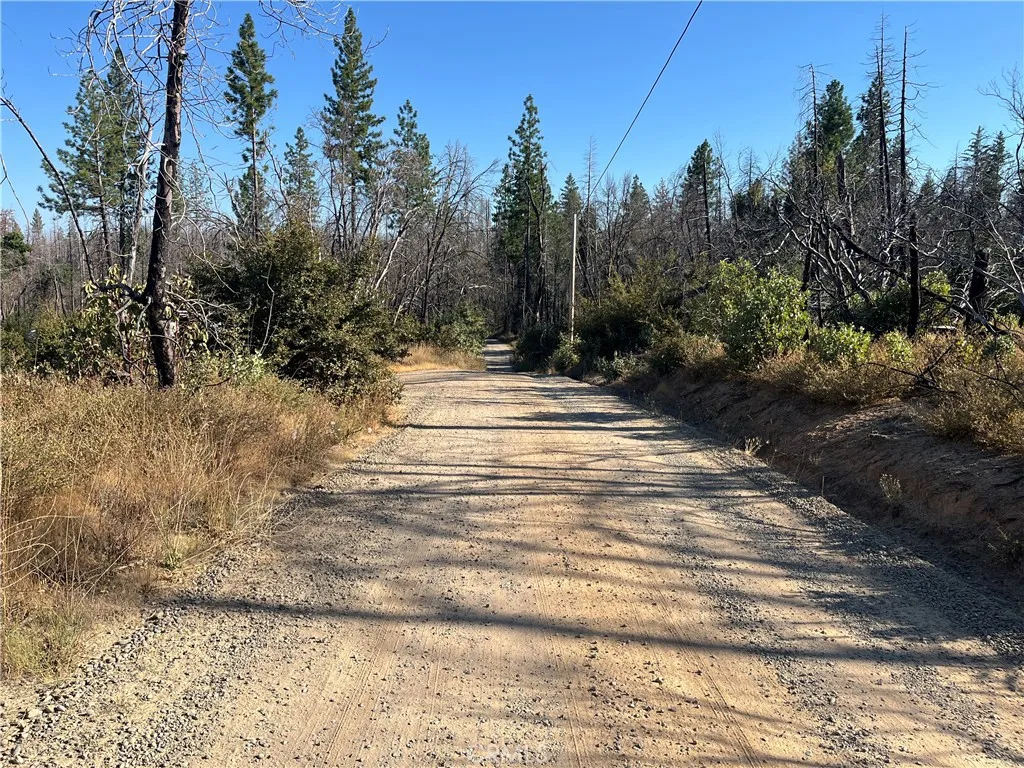 0 Bay Ranch, Berry Creek, CA 95916 - Photo 2 of 7, Berry Creek, CA