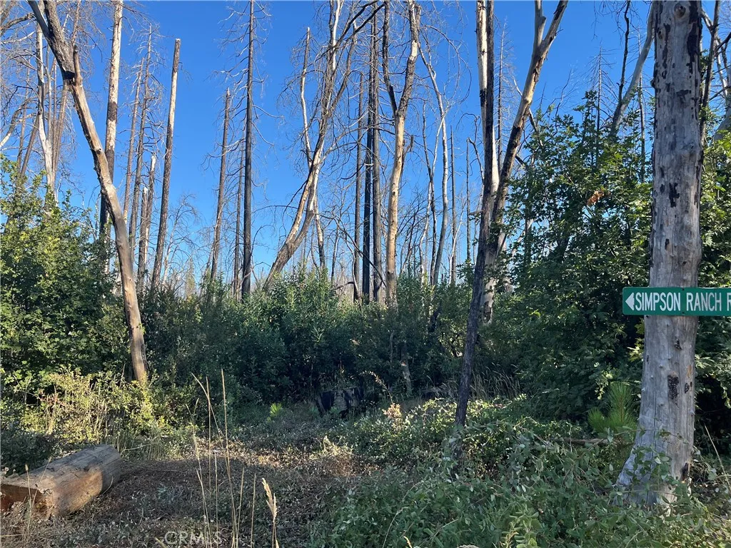 0 Bay Ranch, Berry Creek, CA 95916