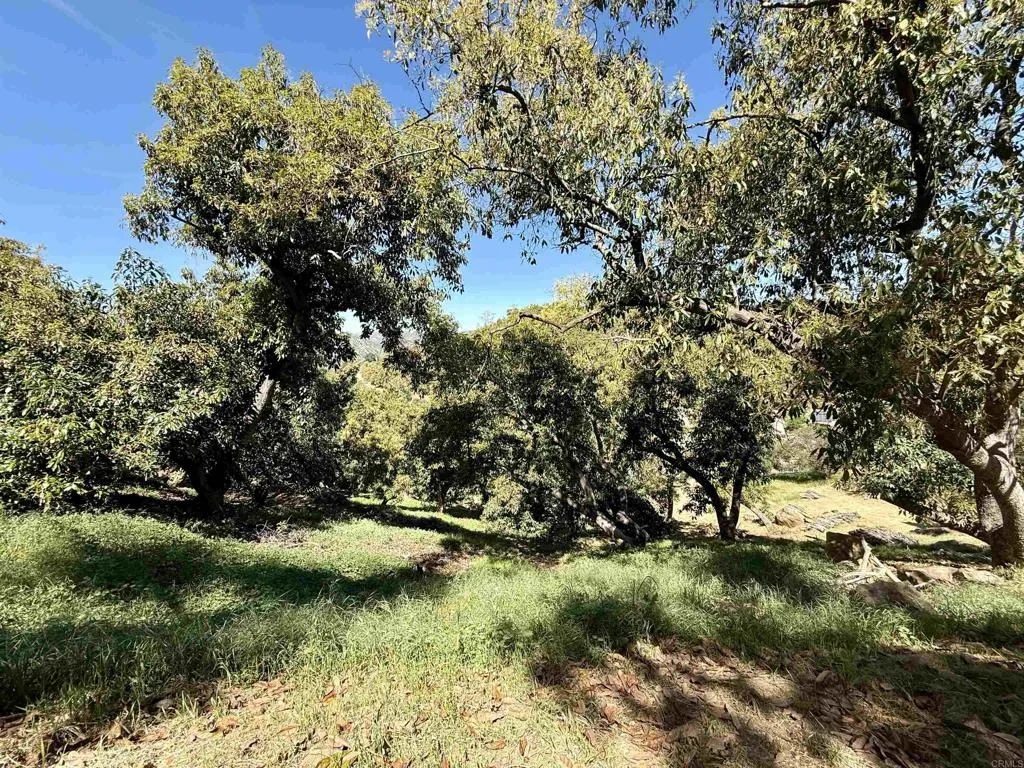 Escondido, CA 92027