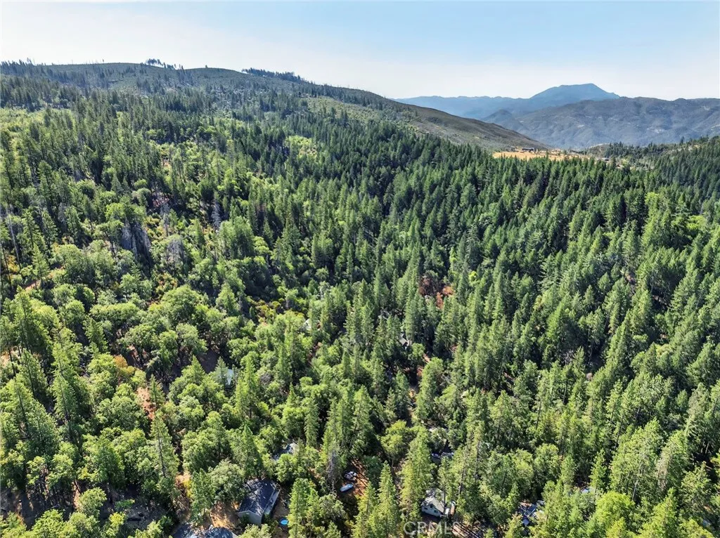 16370 Manzanita, Cobb, CA 95426 - Photo 3 of 16, Cobb, CA