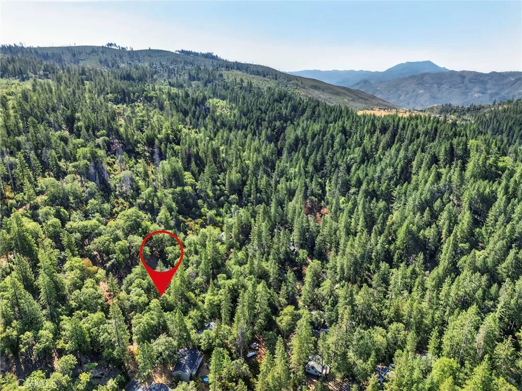 16370 Manzanita, Cobb, CA 95426 - Photo 4 of 16, Cobb, CA