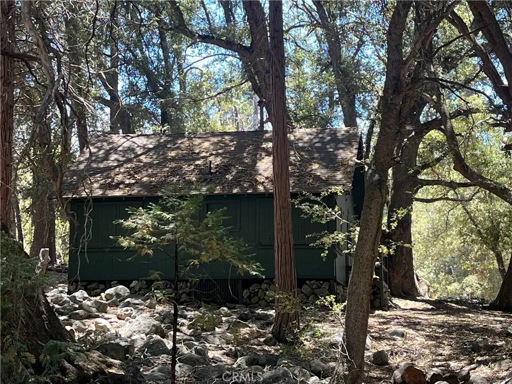 Angelus Oaks, CA 92305