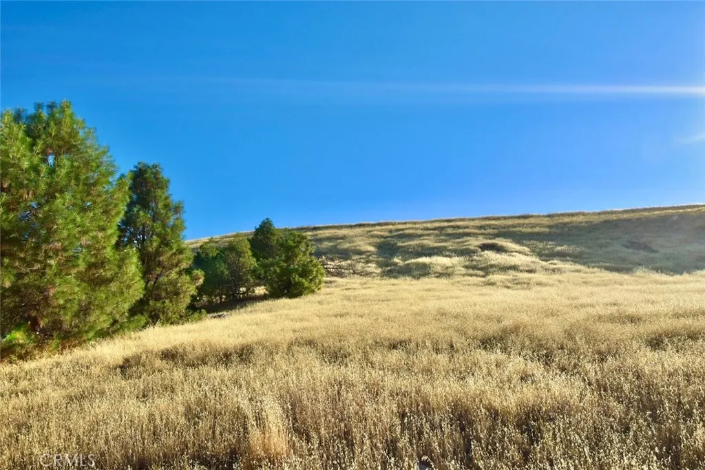 0 Copperhead, Bradley, CA 93426 - Photo 5 of 20, Bradley, CA