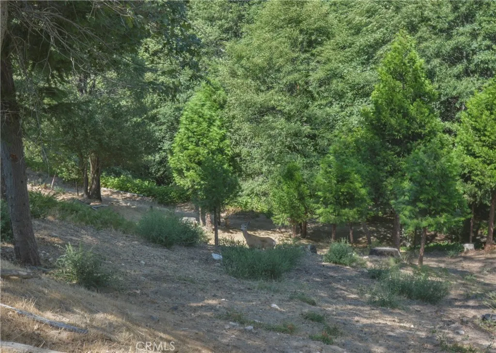 169 Alder Lane, Cedar Glen, CA 92321 - Photo 2 of 28, Cedar Glen, CA
