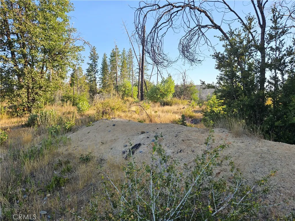 18 Sand Creek, Berry Creek, CA 95916 - Photo 2 of 7, Berry Creek, CA