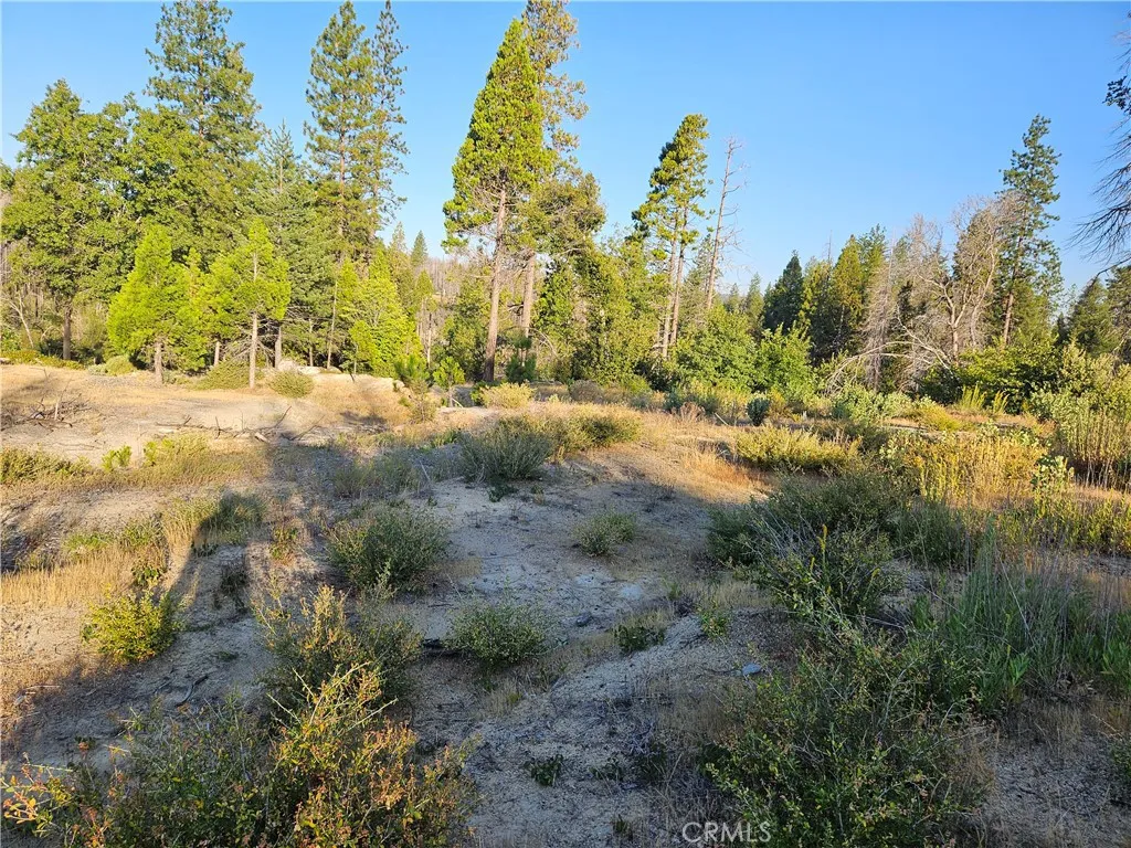 18 Sand Creek, Berry Creek, CA 95916 - Photo 3 of 7, Berry Creek, CA
