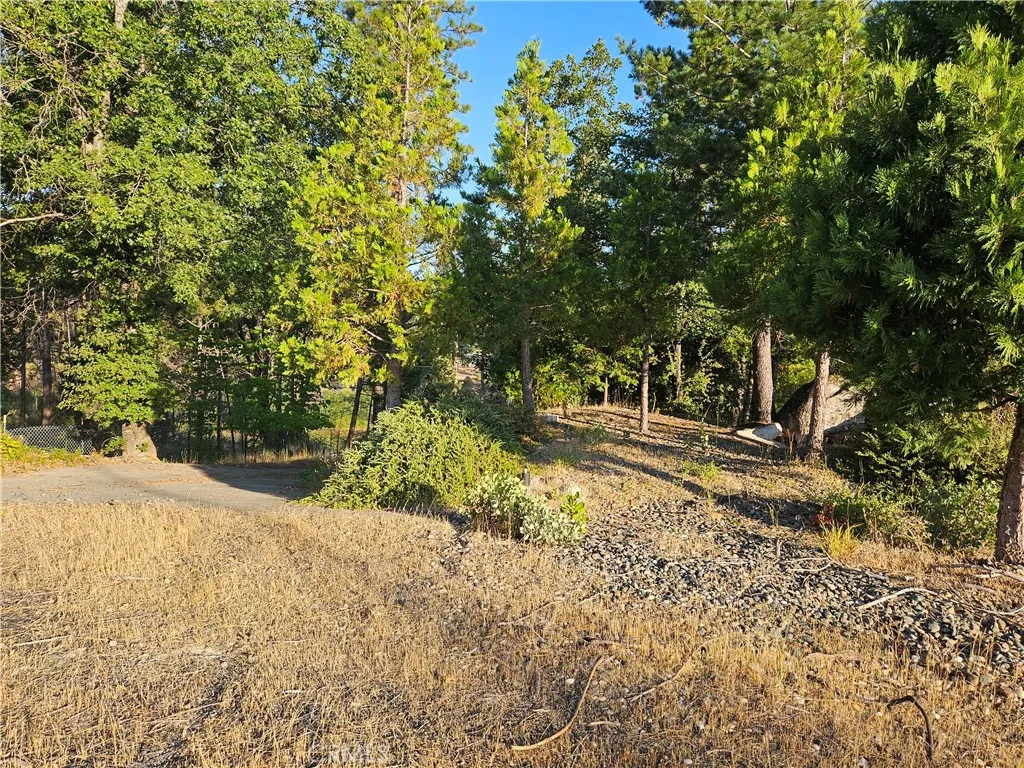 18 Sand Creek, Berry Creek, CA 95916 - Photo 5 of 7, Berry Creek, CA