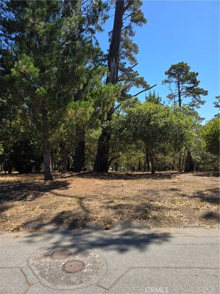2418 Malvern, Cambria, CA 93428