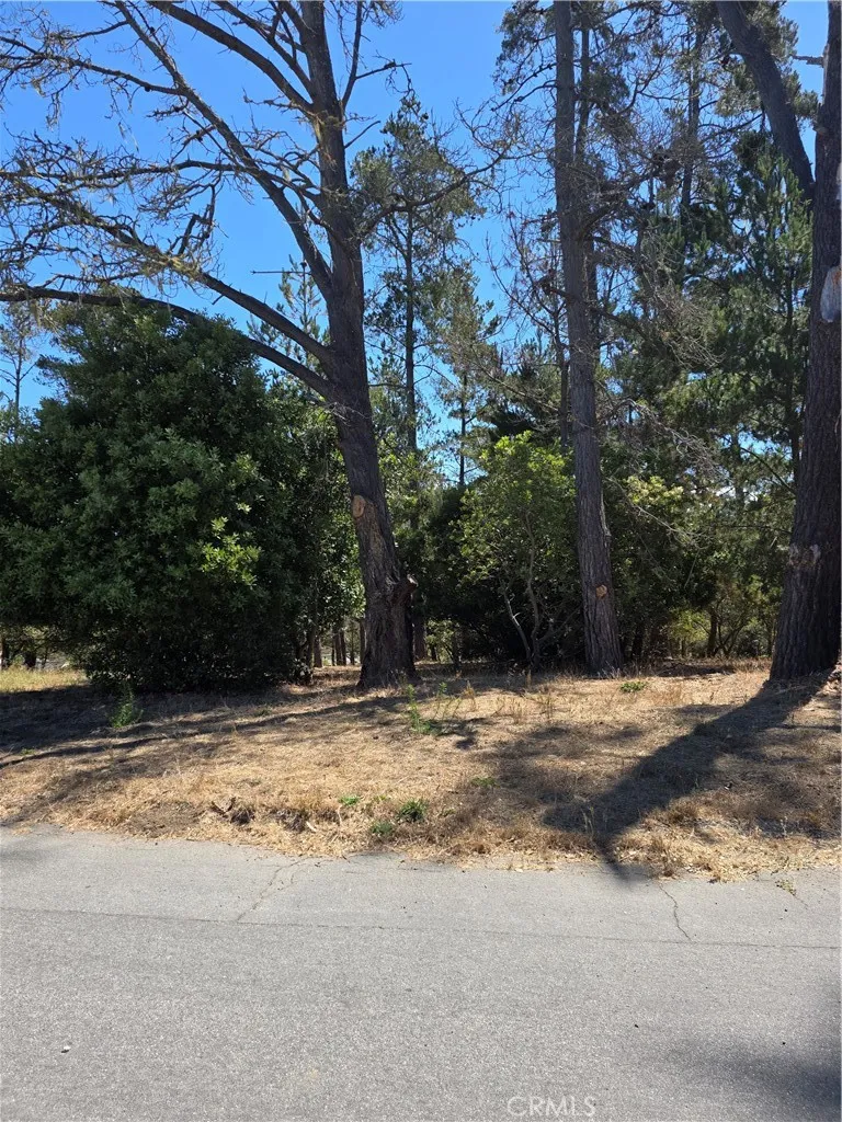 2422 Malvern, Cambria, CA 93428