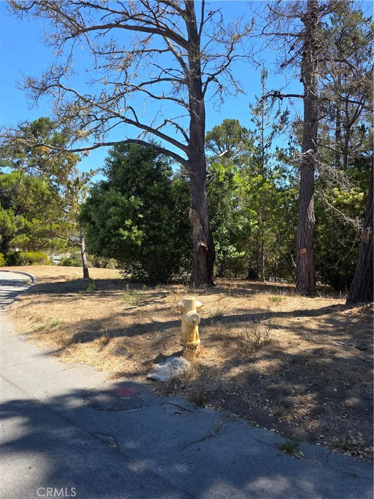2422 Malvern, Cambria, CA 93428 - Photo 2 of 2, Cambria, CA