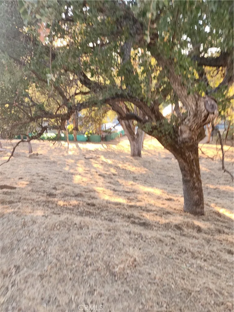 2623 Crows Nest, Bradley, CA 93426 - Photo 4 of 15, Bradley, CA